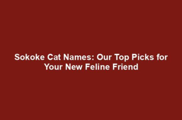 Sokoke Cat Names: Our Top Picks for Your New Feline Friend