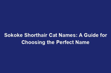 Sokoke Shorthair Cat Names: A Guide for Choosing the Perfect Name