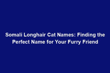 Somali Longhair Cat Names: Finding the Perfect Name for Your Furry Friend