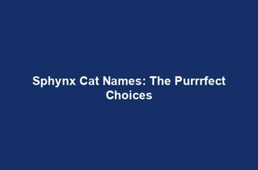 Sphynx Cat Names: The Purrrfect Choices