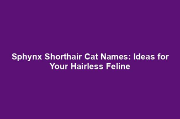 Sphynx Shorthair Cat Names: Ideas for Your Hairless Feline