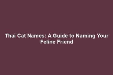 Thai Cat Names: A Guide to Naming Your Feline Friend