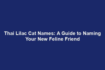 Thai Lilac Cat Names: A Guide to Naming Your New Feline Friend