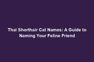 Thai Shorthair Cat Names: A Guide to Naming Your Feline Friend