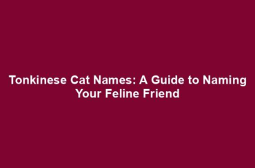 Tonkinese Cat Names: A Guide to Naming Your Feline Friend