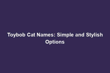 Toybob Cat Names: Simple and Stylish Options