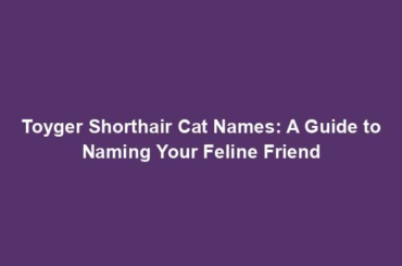 Toyger Shorthair Cat Names: A Guide to Naming Your Feline Friend