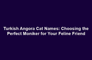 Turkish Angora Cat Names: Choosing the Perfect Moniker for Your Feline Friend