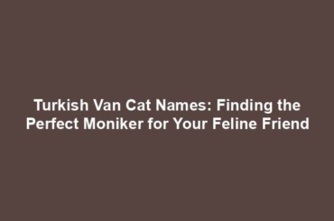 Turkish Van Cat Names: Finding the Perfect Moniker for Your Feline Friend