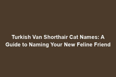 Turkish Van Shorthair Cat Names: A Guide to Naming Your New Feline Friend