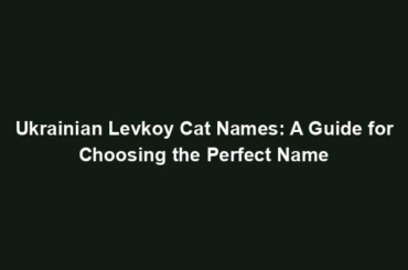 Ukrainian Levkoy Cat Names: A Guide for Choosing the Perfect Name