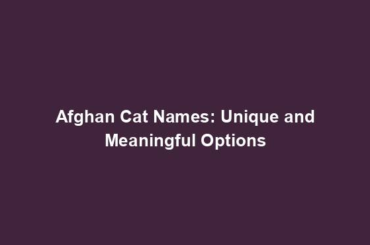 Afghan Cat Names: Unique and Meaningful Options