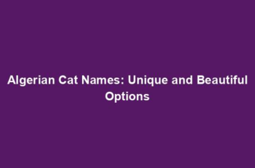 Algerian Cat Names: Unique and Beautiful Options