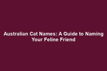 Australian Cat Names: A Guide to Naming Your Feline Friend