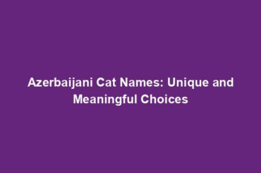 Azerbaijani Cat Names: Unique and Meaningful Choices