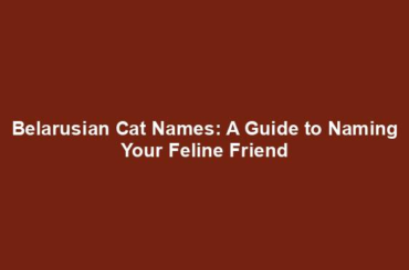 Belarusian Cat Names: A Guide to Naming Your Feline Friend