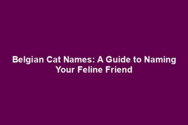 Belgian Cat Names: A Guide to Naming Your Feline Friend