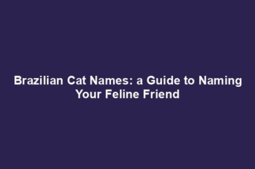 Brazilian Cat Names: a Guide to Naming Your Feline Friend