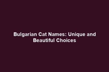 Bulgarian Cat Names: Unique and Beautiful Choices