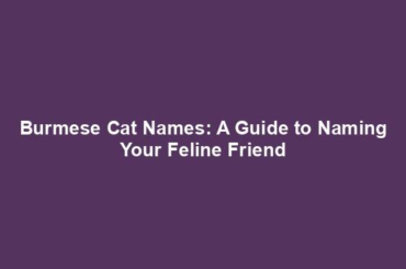 Burmese Cat Names: A Guide to Naming Your Feline Friend