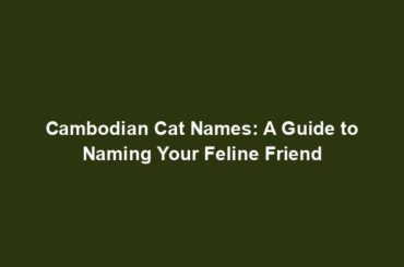 Cambodian Cat Names: A Guide to Naming Your Feline Friend