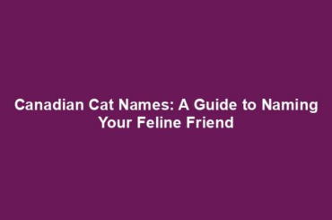 Canadian Cat Names: A Guide to Naming Your Feline Friend