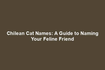 Chilean Cat Names: A Guide to Naming Your Feline Friend