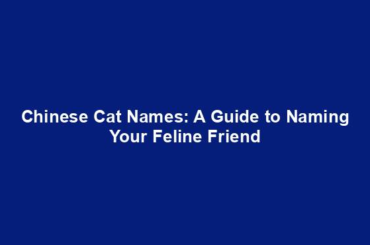 Chinese Cat Names: A Guide to Naming Your Feline Friend