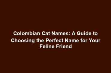 Colombian Cat Names: A Guide to Choosing the Perfect Name for Your Feline Friend