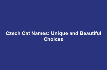 Czech Cat Names: Unique and Beautiful Choices