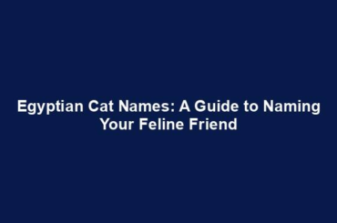 Egyptian Cat Names: A Guide to Naming Your Feline Friend