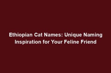 Ethiopian Cat Names: Unique Naming Inspiration for Your Feline Friend