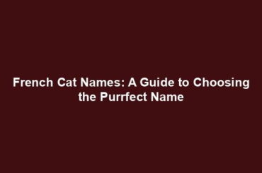 French Cat Names: A Guide to Choosing the Purrfect Name