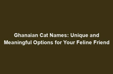 Ghanaian Cat Names: Unique and Meaningful Options for Your Feline Friend