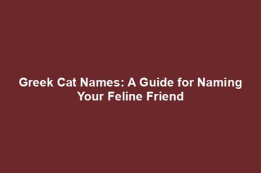 Greek Cat Names: A Guide for Naming Your Feline Friend