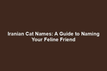 Iranian Cat Names: A Guide to Naming Your Feline Friend