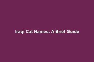 Iraqi Cat Names: A Brief Guide