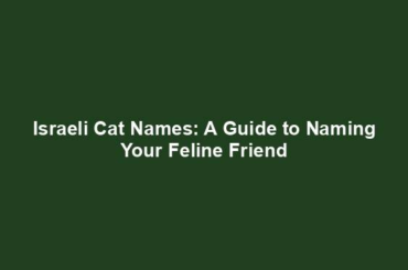 Israeli Cat Names: A Guide to Naming Your Feline Friend