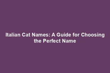 Italian Cat Names: A Guide for Choosing the Perfect Name