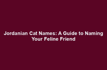 Jordanian Cat Names: A Guide to Naming Your Feline Friend