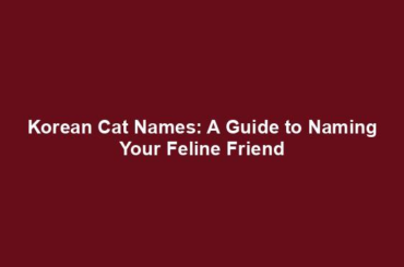 Korean Cat Names: A Guide to Naming Your Feline Friend