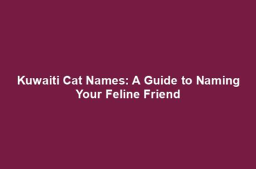 Kuwaiti Cat Names: A Guide to Naming Your Feline Friend