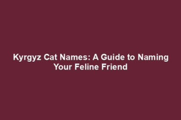 Kyrgyz Cat Names: A Guide to Naming Your Feline Friend