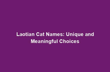 Laotian Cat Names: Unique and Meaningful Choices