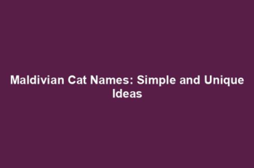 Maldivian Cat Names: Simple and Unique Ideas