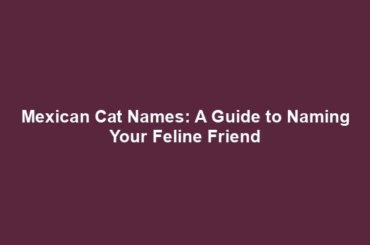 Mexican Cat Names: A Guide to Naming Your Feline Friend