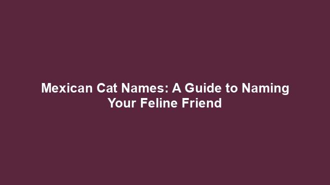 Mexican Cat Names: A Guide to Naming Your Feline Friend - Cat Names Finder
