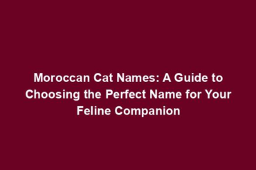 Moroccan Cat Names: A Guide to Choosing the Perfect Name for Your Feline Companion