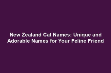 New Zealand Cat Names: Unique and Adorable Names for Your Feline Friend