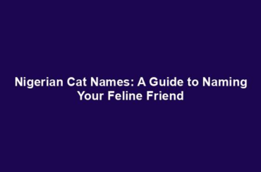 Nigerian Cat Names: A Guide to Naming Your Feline Friend